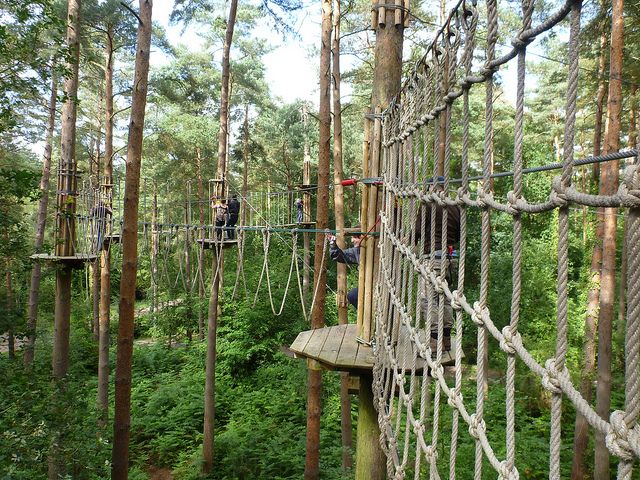 Albufeira High Ropes - Very Into Partying